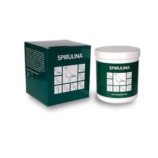 easyyem Spirulina Inhalt 500 g MHD 26.1.23 easyyem Spirulina Inhalt 500 g MHD 26.1.23