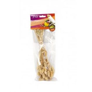 JR Birds Kanariensaat 20 g MHD 01/2025 JR Birds Kanariensaat 20 g MHD 01/2025