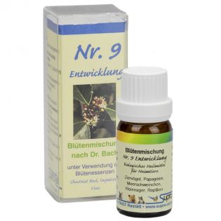 Bach-Blüten Nr. 9 Entwicklung 10 g MHD 24.01.23 Bach-Blüten Nr. 9 Entwicklung 10 g MHD 24.01.23