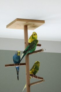 Bild zur Anzeige