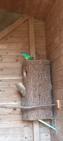 Bild zur Anzeige