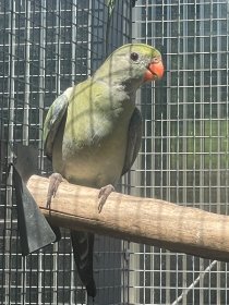 Bild zur Anzeige