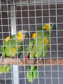 Bild zur Anzeige
