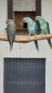 Bild zur Anzeige