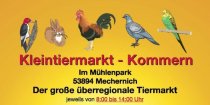 Bild zur Anzeige