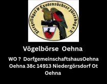 Bild zur Anzeige