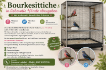 Bild zur Anzeige