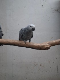 Bild zur Anzeige