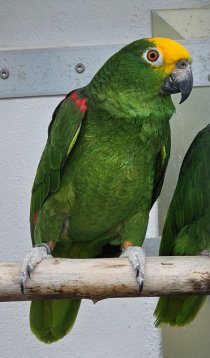 Bild zur Anzeige