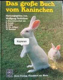 Bild zur Anzeige