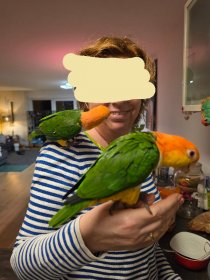 Bild zur Anzeige