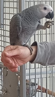 Bild zur Anzeige