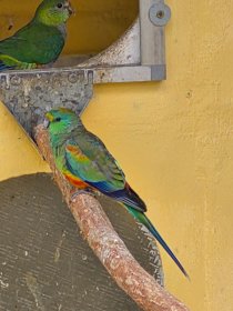 Bild zur Anzeige