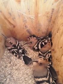 Bild zur Anzeige