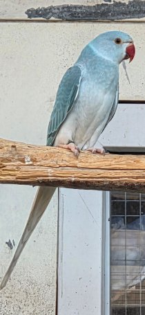 Bild zur Anzeige