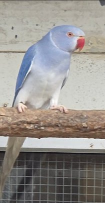 Bild zur Anzeige