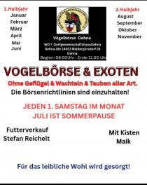 Bild zur Anzeige
