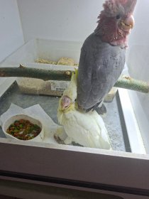 Bild zur Anzeige