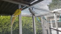 Bild zur Anzeige