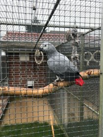 Bild zur Anzeige