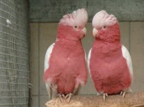 Bild zur Anzeige