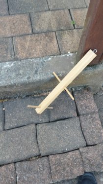 Bild zur Anzeige