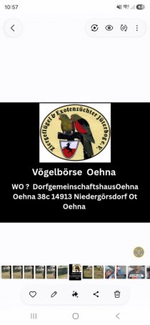 Bild zur Anzeige