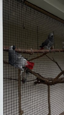 Bild zur Anzeige