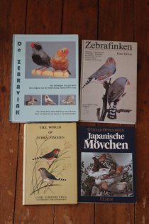 Bild zur Anzeige