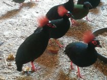 Bild zur Anzeige