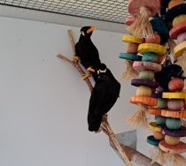 Bild zur Anzeige