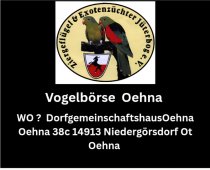 Bild zur Anzeige