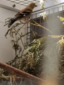 Bild zur Anzeige