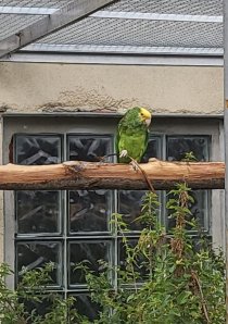 Bild zur Anzeige