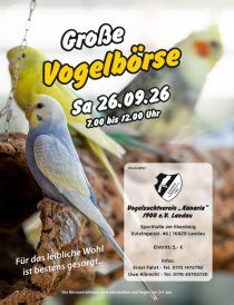 Bild zur Anzeige