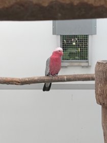 Bild zur Anzeige