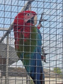 Bild zur Anzeige