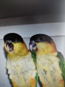 Bild zur Anzeige