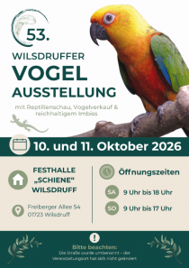 Bild zur Anzeige