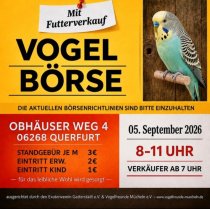 Bild zur Anzeige