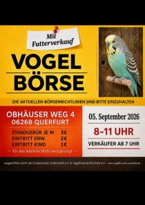 Bild zur Anzeige