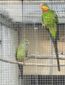 Bild zur Anzeige