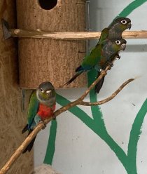 Bild zur Anzeige