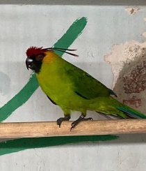 Bild zur Anzeige