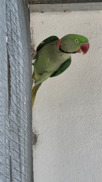 Bild zur Anzeige