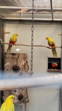Bild zur Anzeige