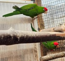 Bild zur Anzeige