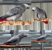 Bild zur Anzeige