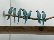 Bild zur Anzeige