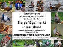 Bild zur Anzeige